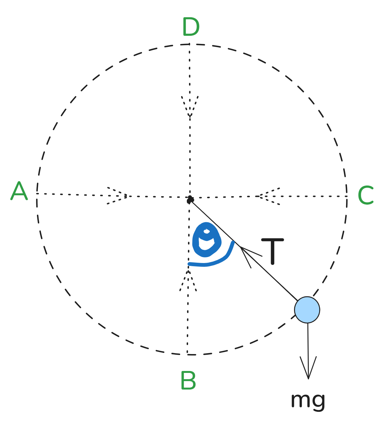  Img Phys Cape Vertical-Circles.png