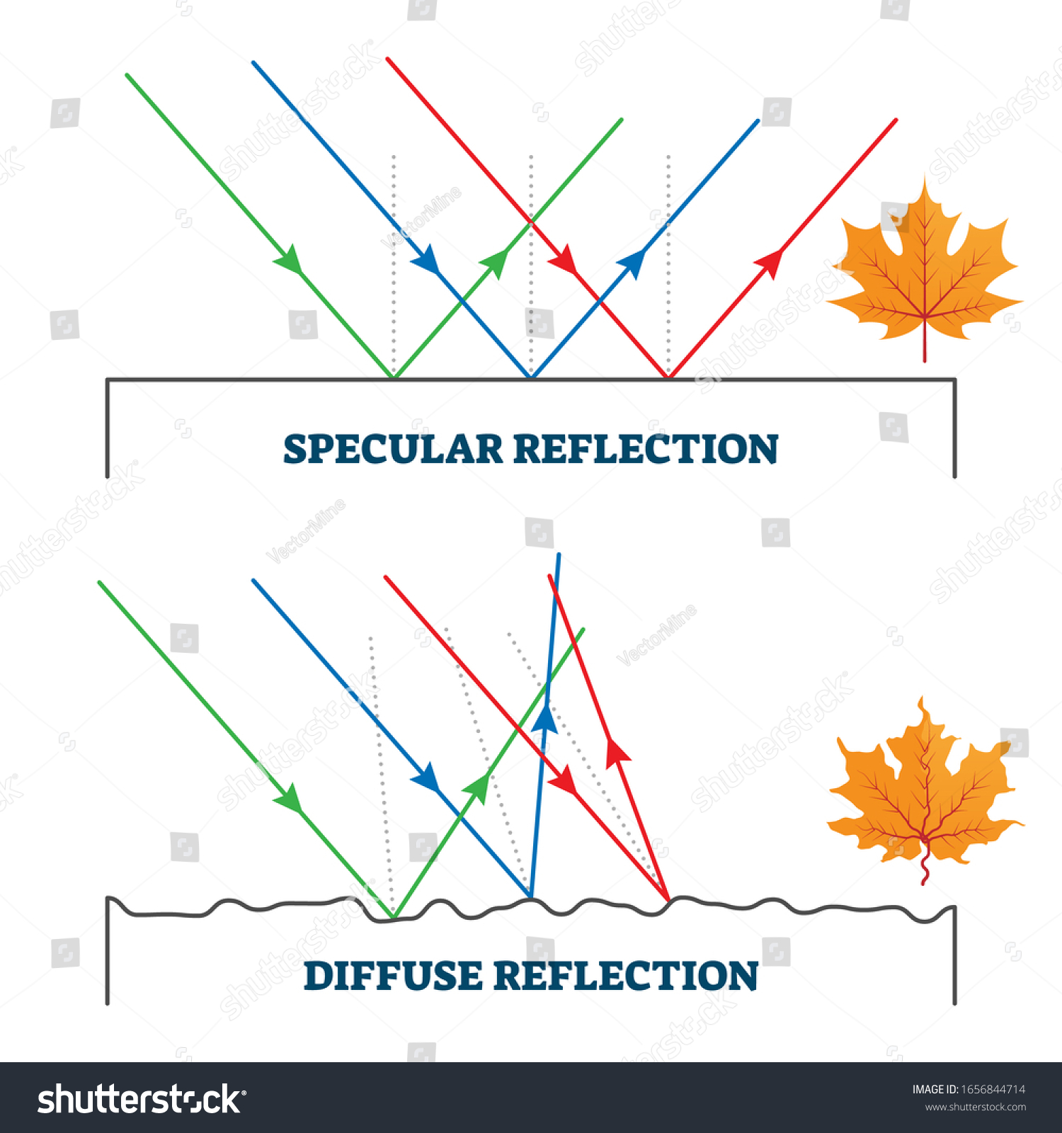 Img Phys Spec-Diff.png